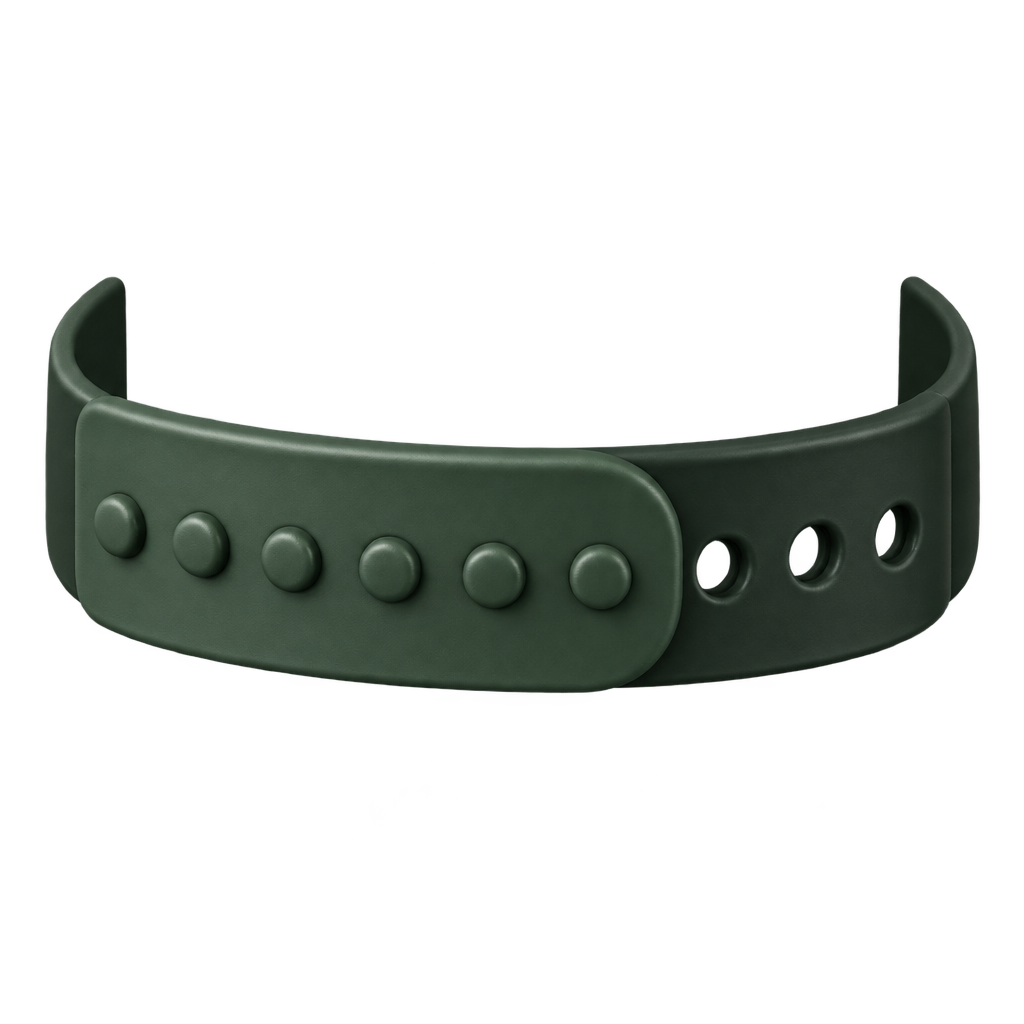 Illustration of a green adjustable snapback strap.