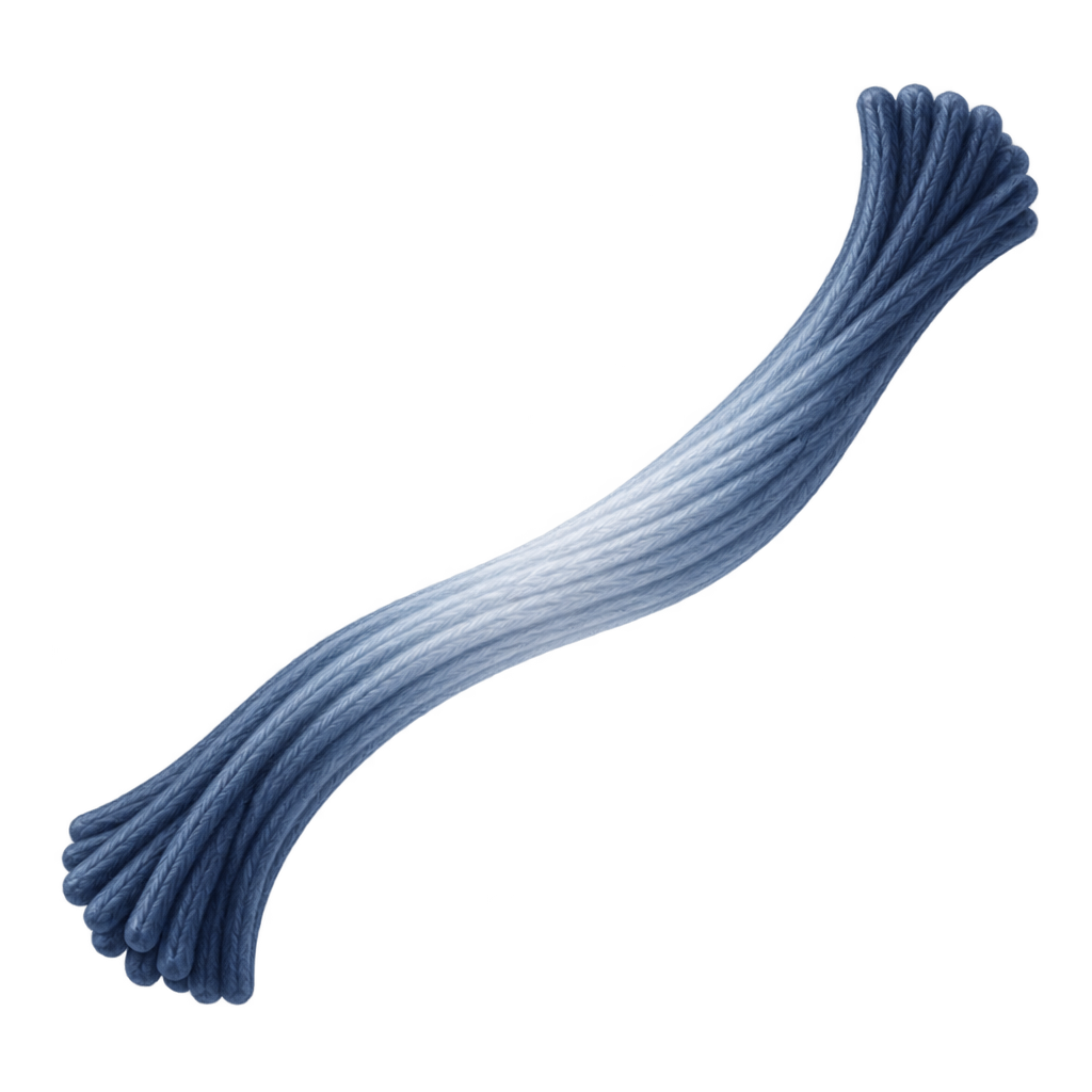 Illustration of a curved bundle of fine blue-white fibers.