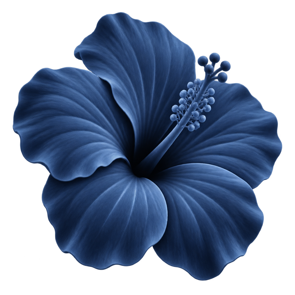 Blue hibiscus flower illustration against a dark background.